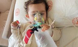 1 yaşındaki Yaren’in Hayat Mücadelesi: 65 Milyon TL’lik Umut