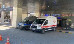 Kene Isırdı, Hastaneye Kaldırıldı