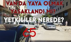 Van’da Yaya Olmak Yasaklandı Mı!  Yetkililer Nerede?