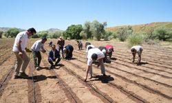 Tütün Seferberliği: 1 Milyar TL’lik Katkı Bekleniyor
