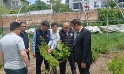 Van'da Tarımda Yenilik Sinyali Verildi!