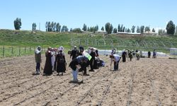 Van’ın Birçok İlçesinde Vardı O İlçesinde de Açıldı!