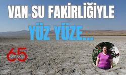 Van Gölüne Hâlâ Sessiz mi Kalacağız?