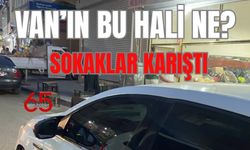 Van’da Sokaklar Sahipsiz, Bahçıvan Mahallesi Adeta Küçük Hindistan’a Döndü!