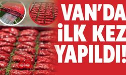 Van’da İlk Kez Kırmızı Renkli Meyveli Baklava Üretildi