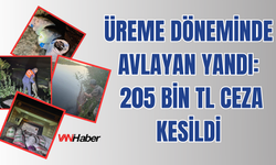İnci Kefali’ne Sıkı Koruma: 2 Haftada 1 Tondan Fazla Balığa El Konuldu
