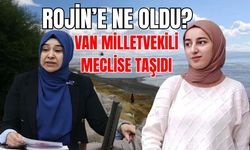 Van Milletvekili Meclis’e Taşıdı: Rojin Kabaiş’in Ölümü Neden Aydınlatılamadı?
