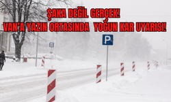 Şaka Değil Gerçek! Van'da Yazın Ortasında Yoğun Kar Yağışı Bekleniyor!