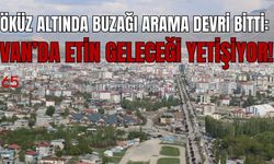 Öküz Altında Buzağı Arama Devri Bitti: Van’da Etin Geleceği Yetişiyor!