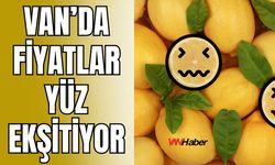 Van'da Limon Fiyatları Yüz Ekşitiyor!