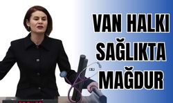 DEM Parti Milletvekili Kaçmaz Sayyiğit, Van’daki Sağlık Sorunlarını TBMM’ye Taşıdı