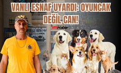Vanlı Esnaf Uyardı: Oyuncak Değil Can!