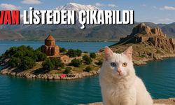 Geçen Yıl Listede Vardı, Bu Yıl Yer Almadı