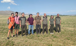 Van'da tedavi edildi, doğaya salındı!