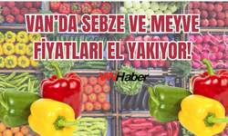 Van’da Sebze ve Meyve Fiyatları El Yakıyor!