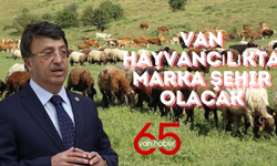 Van’da 60 Projeye 12 Milyon Euro Hibe Desteği