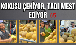 Van’ın Alaköy Mahallesinden Gelen Efsane Kavun: Alaköy Kavunu