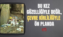 Muradiye Alarm Veriyor: Güzelliğiyle Değil, Kirliliğiyle Ön Plana Çıktı!