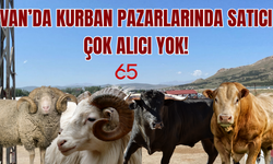Van’da kurban pazarlarında alıcıdan çok satıcı var!