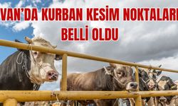 Van'ın İpekyolu ilçesinde kurban satış ve kesim yerleri belli oldu