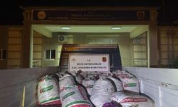 Erciş’te 2 Ton Kaçak Avlanmış İnci Kefali Ele Geçirildi