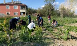Van'da Üretim Heyecanı Başladı!