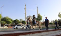 Van Sahilinde Şaşırtan Görüntü!