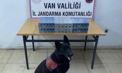 Van’da 8 Ayrı Noktaya Baskın Düzenlendi!