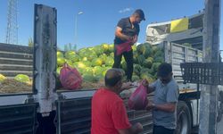 Kilosu 100 TL’ydi Ücretsiz Dağıtıldı!