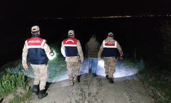 Van Gölü’nde Kaçak Katliam!