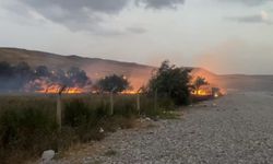Ayanis Mahalesi'nde Meydana Gelen Yangında Ağaçlık Alan Kül Oldu!
