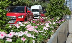 Van’ın Caddeleri Yaz Renklerine Büründü