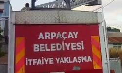 Yavru Leylek Yuvasına Döndü: Arpaçay'da Duyarlı Müdahale