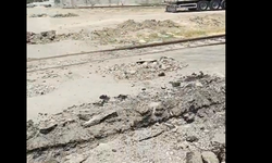 Erciş’te Ot Biçme Seferberliği!