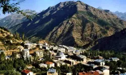 Hakkari’de 2 Kadın Dilenci İl Dışına Çıkartıldı!