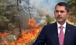 Orman Yangınlarının Korkunç Bilançosu Açıklandı!