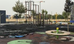 Diyarbakır’da Çocuk Parkı Alev Alev Yandı