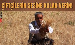Vanlı Çiftçilerden Gölet Talebi: “Su Boşa Akıyor, Tarlalar Kuruyor”