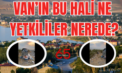 Ayanıs Sahili Çöplüğe Döndü! Yetkililer Nerede?