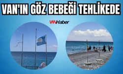 Van'ın Göz Bebeği Tehlikede: Mavi Bayraklı Plaj Bakımsızlığa Terk Edildi!