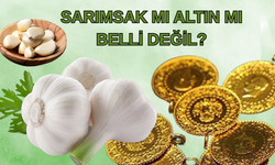Sarımsak Mı Altın Mı Belli Değil?