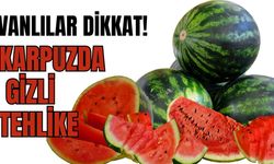Vanlıların Yaz Favorisinde Gizli Tehlike: Karpuzda Hijyen Alarmı!