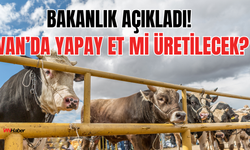 Van’da Hayvan Pazarları Kapatıldı! Yapay Et İddiası Ortalığı Karıştırdı