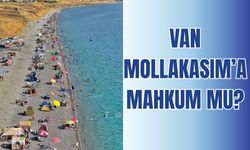 Van Mollakasım’a Mahkum! Neden Başka Plajlar Açılmıyor?