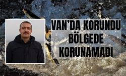 Mustafa Akkuş: İnci Kefali Av Yasağı Sona Erdi,Etkin Koruma Sağlanamadı!