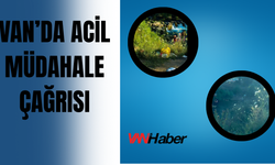 Van’da Şok Görüntü : Dönemeç Şelalesi Tehlikede!