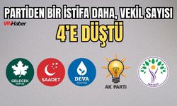 Gelecek Partisi İstanbul Milletvekili Doğan Demir Partisinden İstifa Etti!