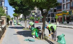 Van’da 32 Cadde ve 26 Parkta Büyük Değişim!