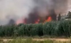 Gevaş’ta Yangın Paniği: Alevler Kısa Sürede Büyüdü!