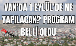 Van’da 1 Eylül Dünya Barış Günü Panel ve Yürüyüşle Anılacak